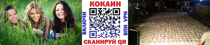 Купить закладки Светогорск Кокаин 97%