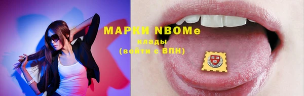 шишки Нижний Тагил