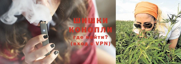 мдпв Козельск